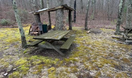 6-Picnic Area
