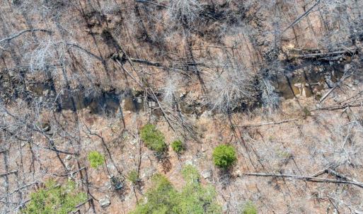 65-DJI_20260312030229_0311_D