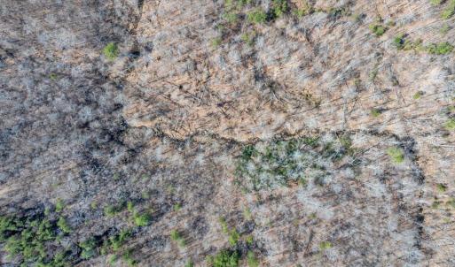 62-DJI_20260312030129_0308_D