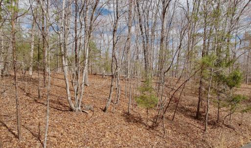 Kovalchuk photos - 2