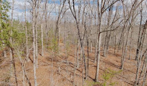 Kovalchuk photos - 5