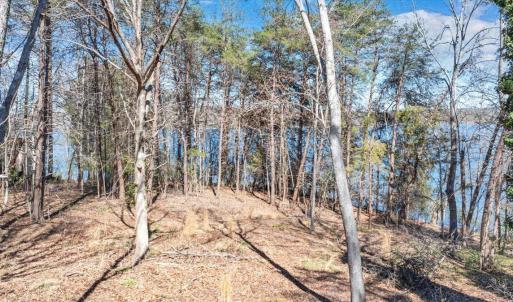 08-DJI_20260319023007_0198_D