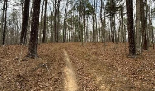 TIMBERVIEW ACCESS TRAIL