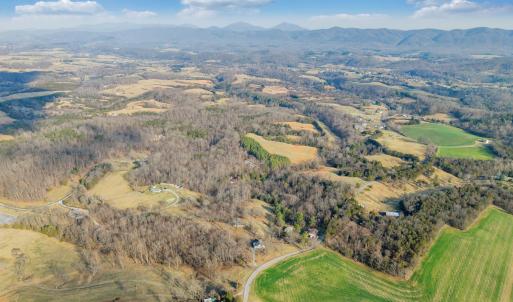 Blue Ridge - 22