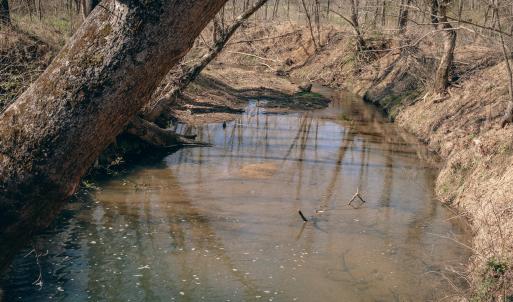 Rice creek