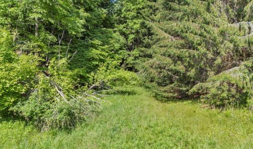 09-DJI_20250603105006_0222_D