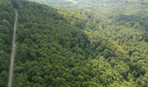 Wooded Acreage