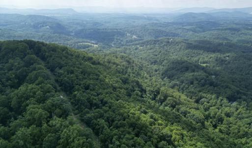 Wooded 10.3 Acres
