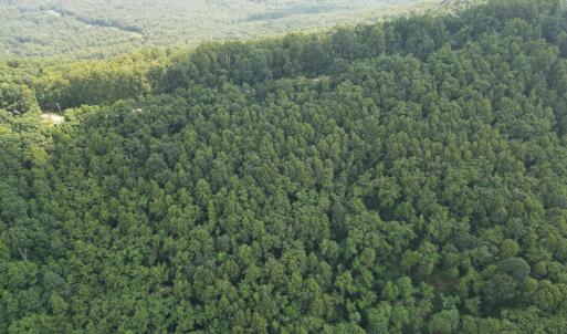 Wooded Tracts