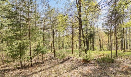 31-Lakestone Rd Lot-3