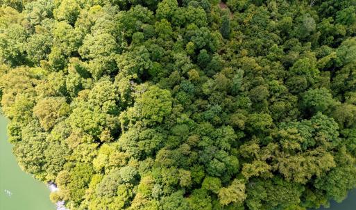 09-250 Montilago Dr_09