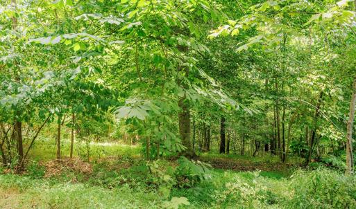 15-250 Montilago Dr_15