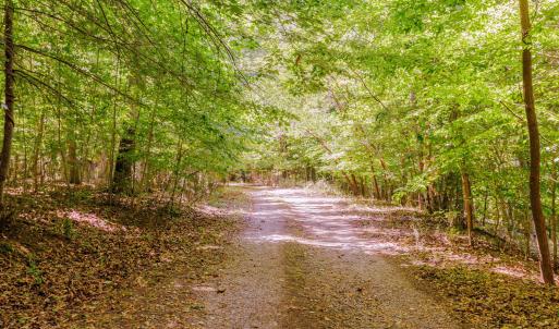 16-250 Montilago Dr_16