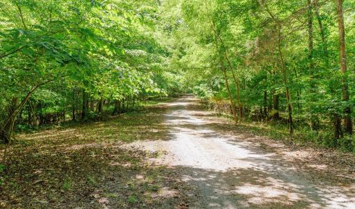 18-250 Montilago Dr_18