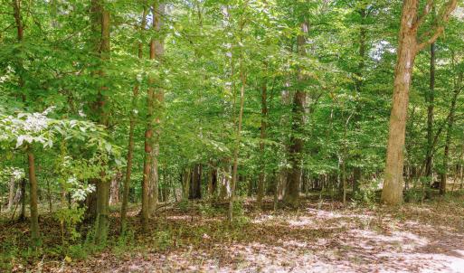 19-250 Montilago Dr_19