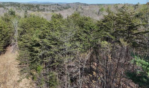 DJI_20260403165719_0001_D
