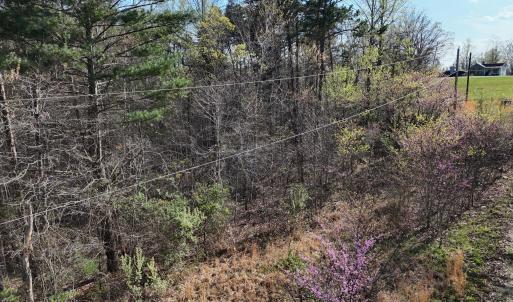 DJI_20260403165926_0009_D
