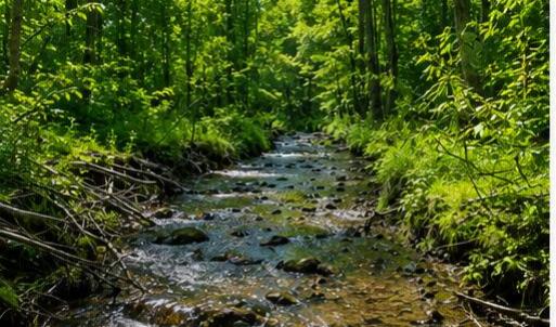 creek