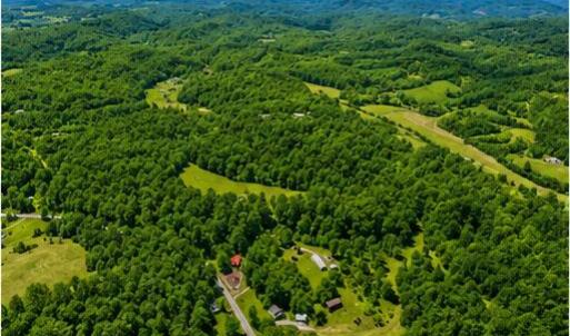 summer_sky view_image_2