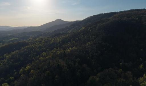 DJI_20260404082454_0237_D