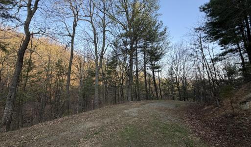 IMG_5734
