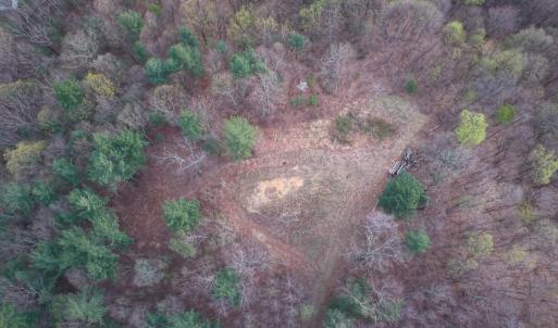 IMG_aerial_1