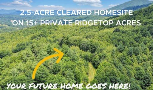 2.5-Acre Cleared homesite w Rigetop View