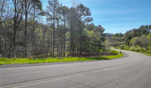 lakewatch-circle-moneta-8