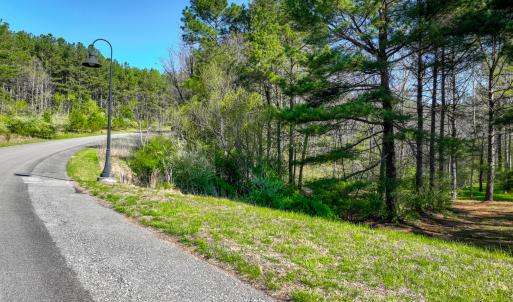 lakewatch-circle-moneta-10