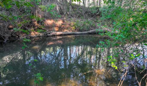 lakewatch-circle-moneta-11