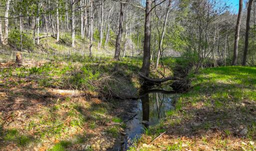 lakewatch-circle-moneta-12