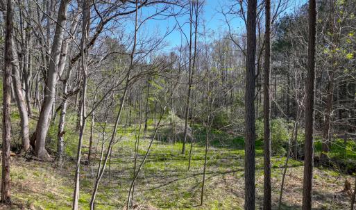 lakewatch-circle-moneta-13