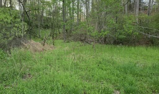 Perfect building spot