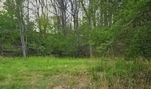 Beautiful homes in rear of property