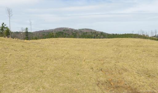 DJI_20260325143622_0195_D