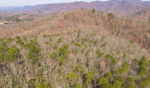DJI_20260325102631_0115_D