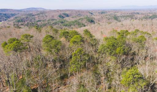 DJI_20260325102655_0117_D