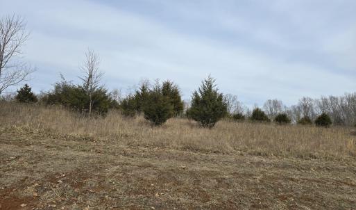 Lot 16