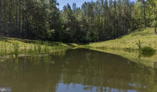 Photo #3 of DEERWOOD LN, SPOTSYLVANIA, VA 61.0 acres