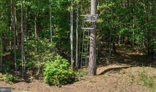 Photo #5 of DEERWOOD LN, SPOTSYLVANIA, VA 61.0 acres