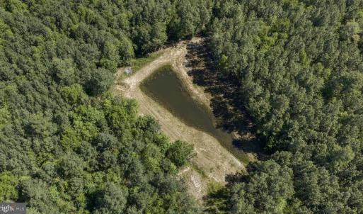 Photo #17 of DEERWOOD LN, SPOTSYLVANIA, VA 61.0 acres