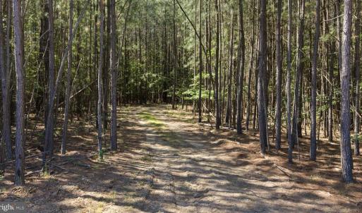 Photo #18 of DEERWOOD LN, SPOTSYLVANIA, VA 61.0 acres
