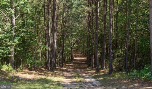 Photo #19 of DEERWOOD LN, SPOTSYLVANIA, VA 61.0 acres
