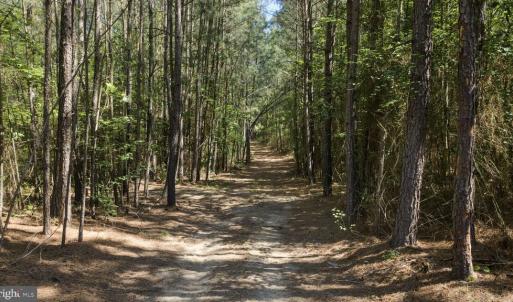 Photo #22 of DEERWOOD LN, SPOTSYLVANIA, VA 61.0 acres
