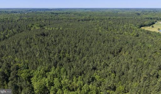 Photo #33 of DEERWOOD LN, SPOTSYLVANIA, VA 61.0 acres