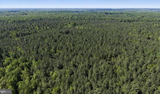 Photo #34 of DEERWOOD LN, SPOTSYLVANIA, VA 61.0 acres