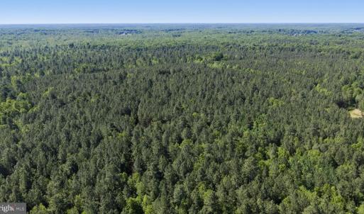 Photo #35 of DEERWOOD LN, SPOTSYLVANIA, VA 61.0 acres