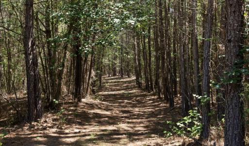 Photo #4 of DEERWOOD LN, SPOTSYLVANIA, VA 61.0 acres