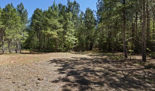 Photo #20 of DEERWOOD LN, SPOTSYLVANIA, VA 61.0 acres