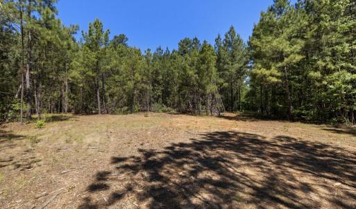 Photo #16 of DEERWOOD LN, SPOTSYLVANIA, VA 61.0 acres